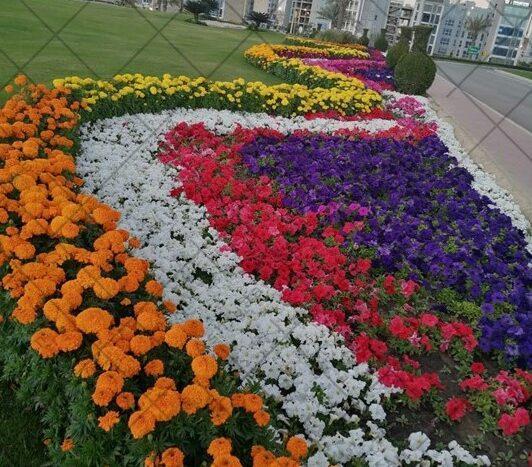 Plot for Sale Bahria Town