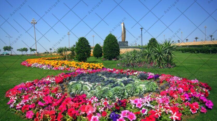 Plot for Sale