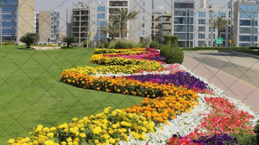 Plot for Sale