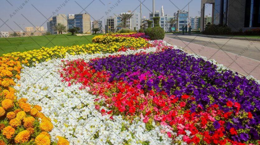 Residential Plot for Sale
