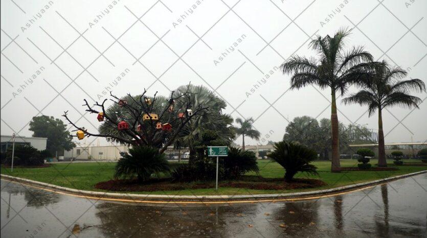 Residential Plot for Sale