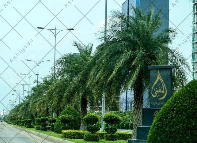 Office Space for Sale
