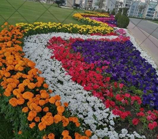 Residential Plot