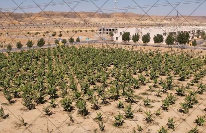 Plot for Sale in Bahria Town Karachi