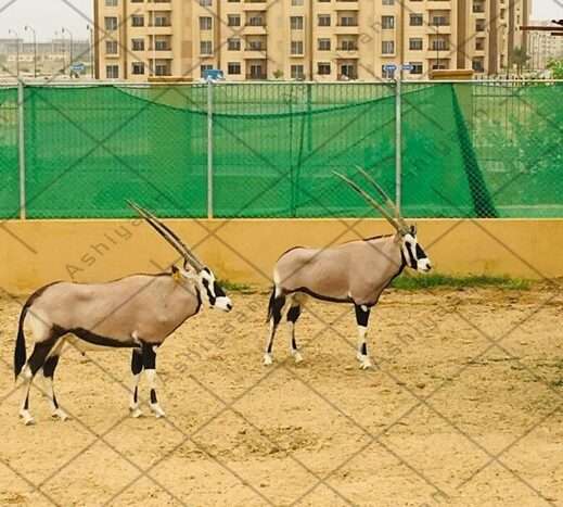 Plot for Sale in Bahria Town Karachi