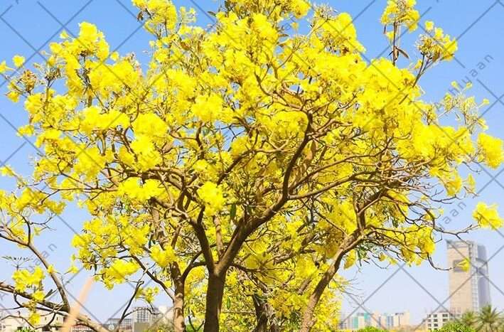Plot for Sale in Bahria Town Karachi