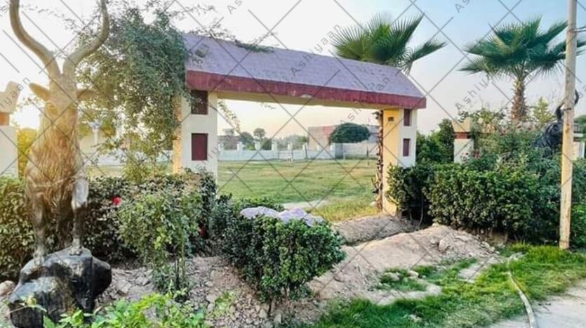 Al-Kabir Orchard Lahore!